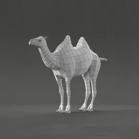 Camel